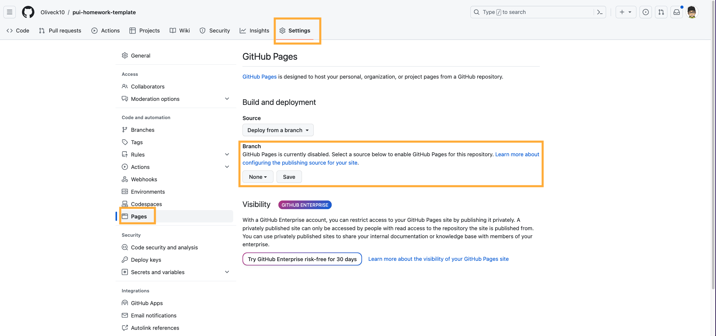 Screenshot of GitHub Pages configuration page.